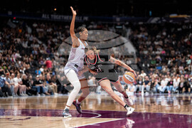 WNBA Fire Tempo Basketball