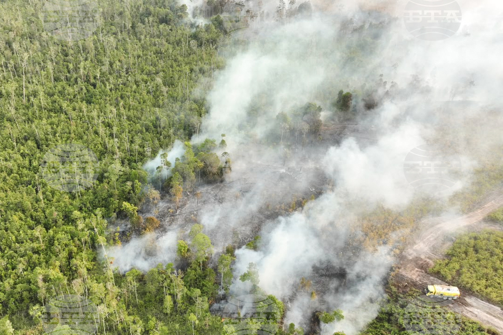 Indonesia Haze
