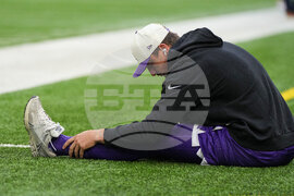 Vikings Ravens Football