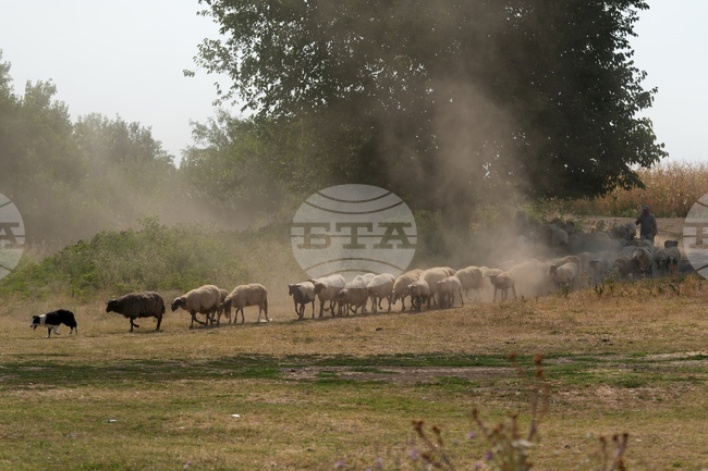 Serbia Daily Life