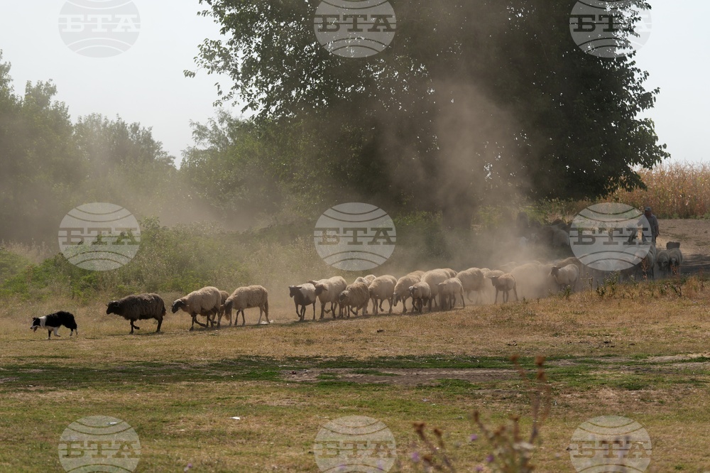 Serbia Daily Life