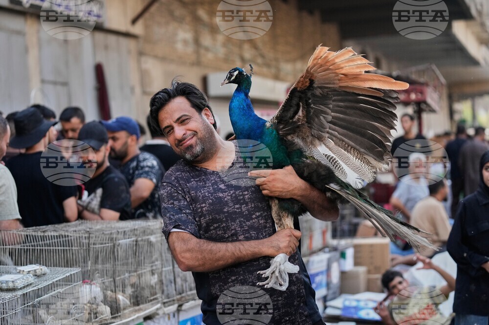 APTOPIX Iraq Daily Life