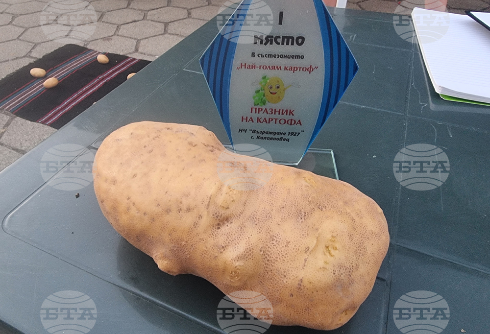 Село Калояновец - Празник на картофа