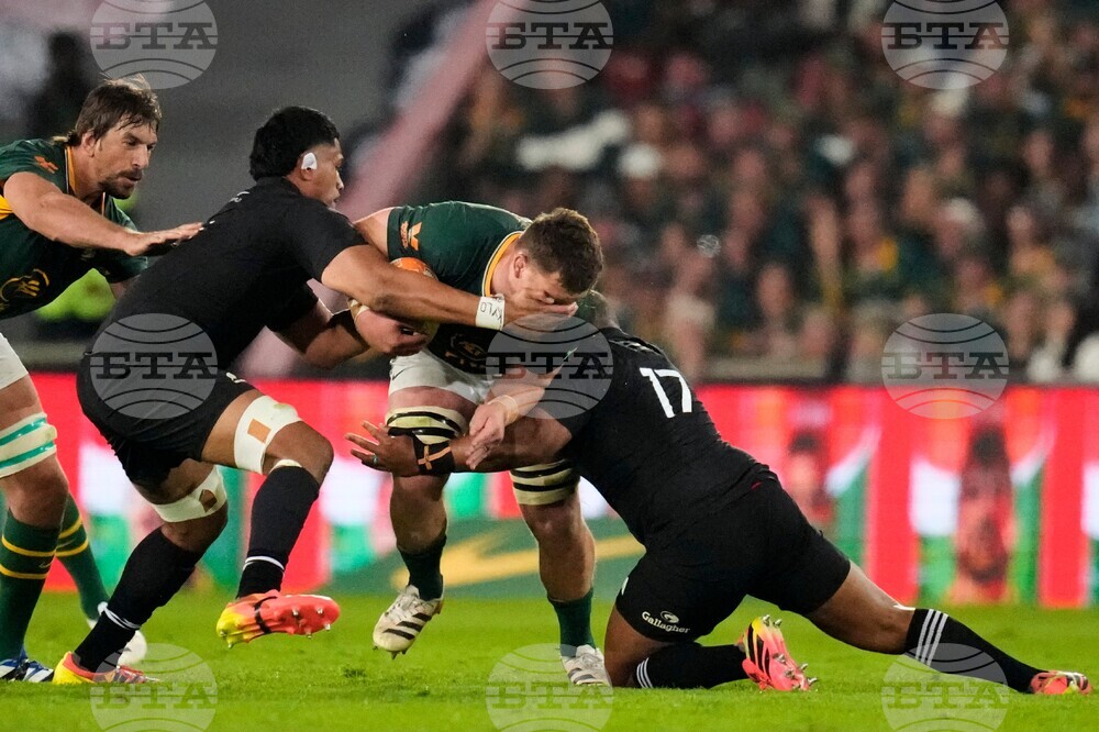 South Africa New Zealand Rugby