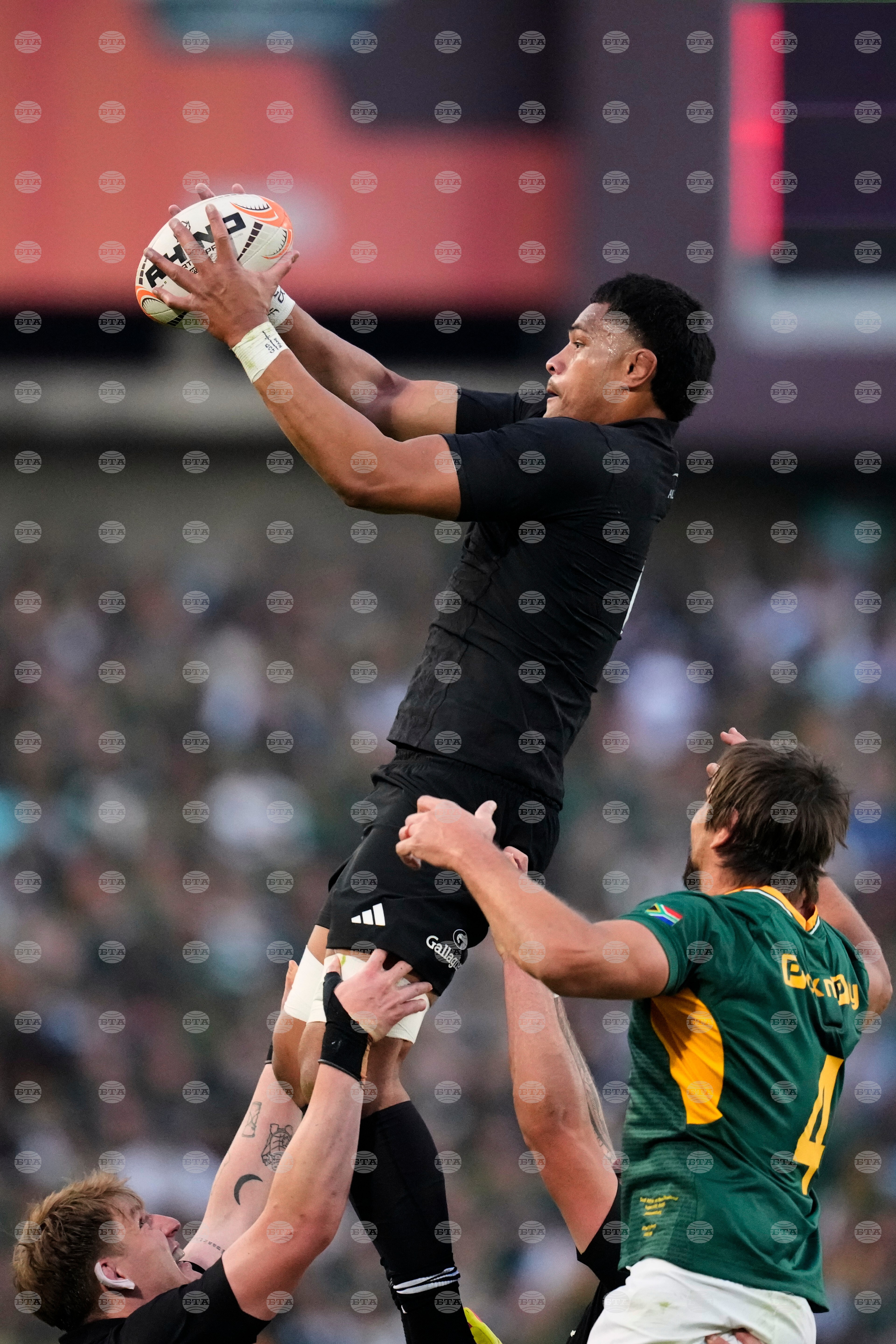South Africa New Zealand Rugby