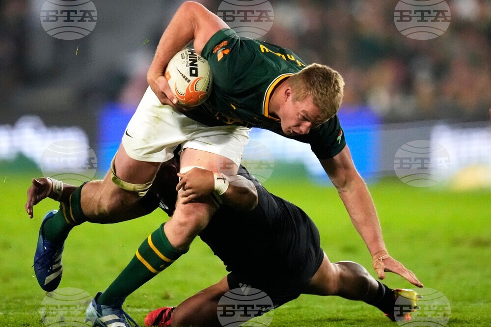 South Africa New Zealand Rugby