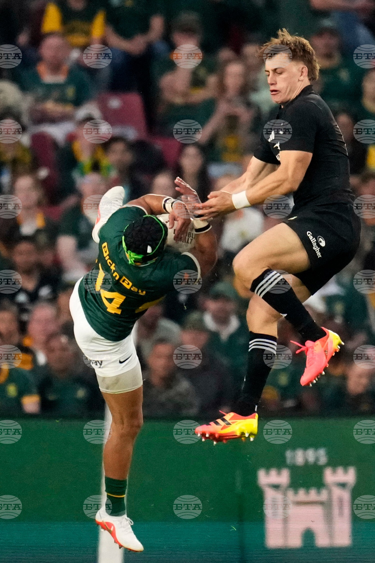 South Africa New Zealand Rugby