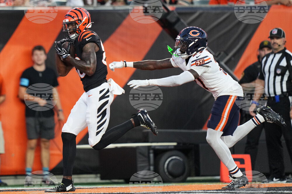 Bears Bengals Football