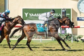 Del Mar Horse Racing