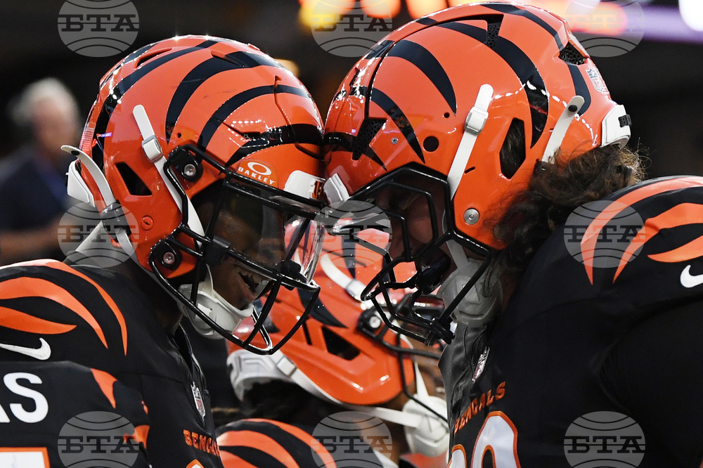 Bears Bengals Football