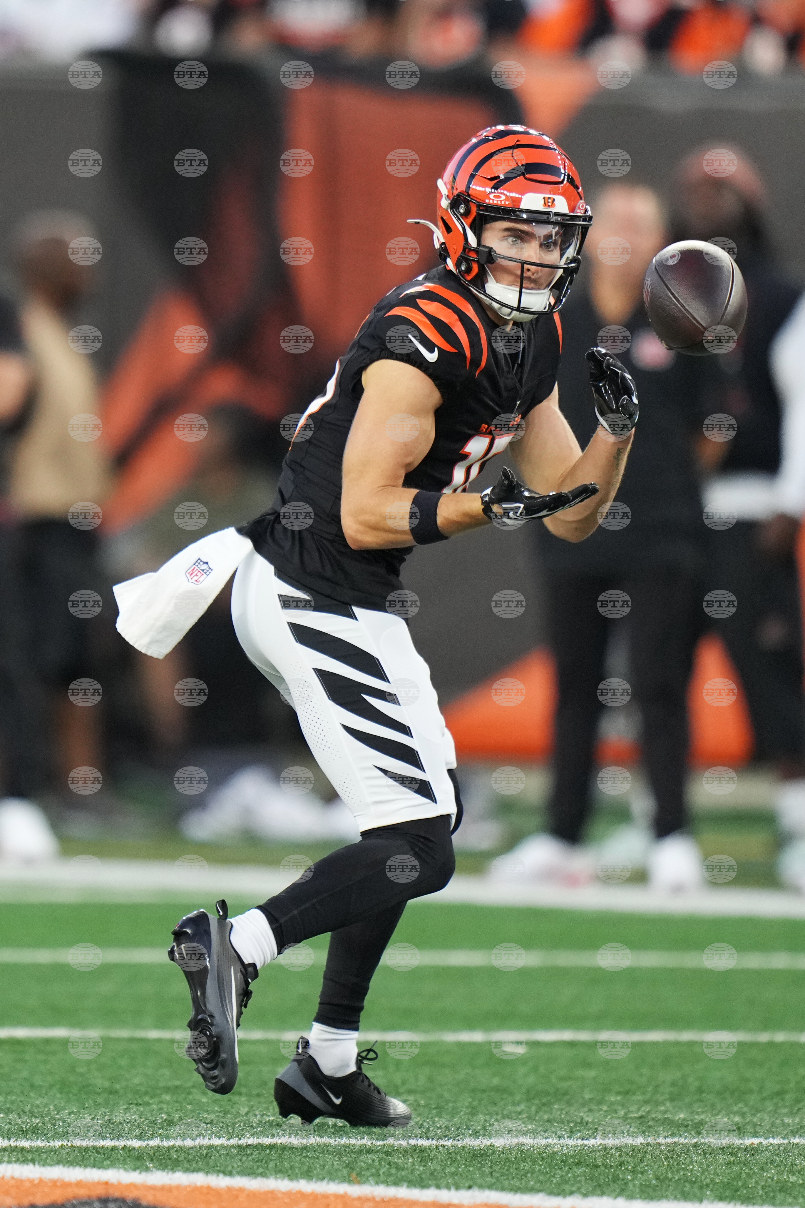 Bears Bengals Football