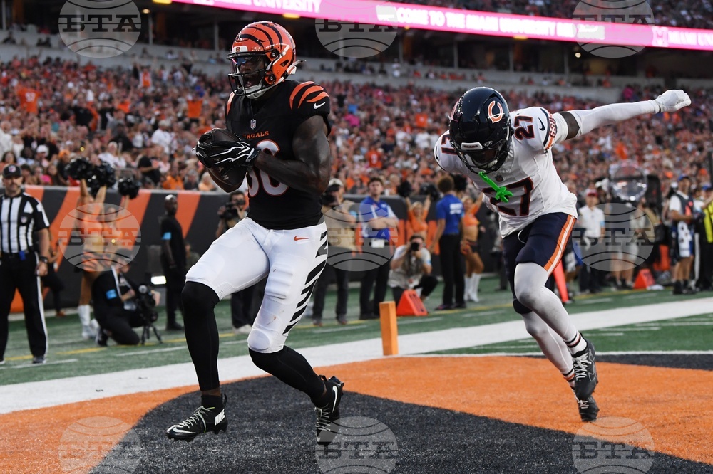 Bears Bengals Football