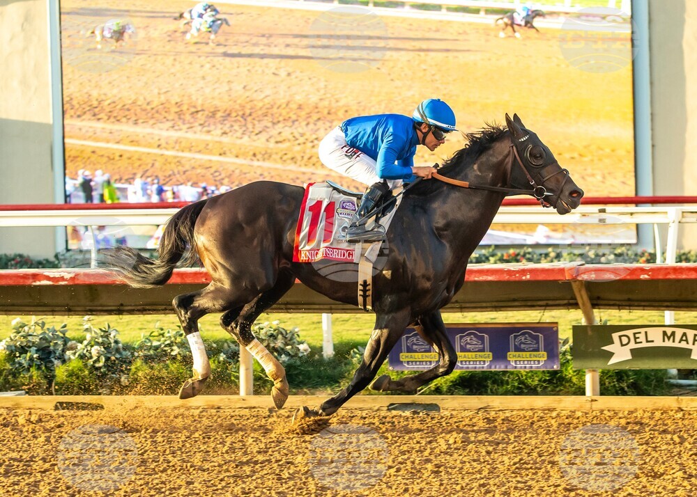 Del Mar Horse Racing