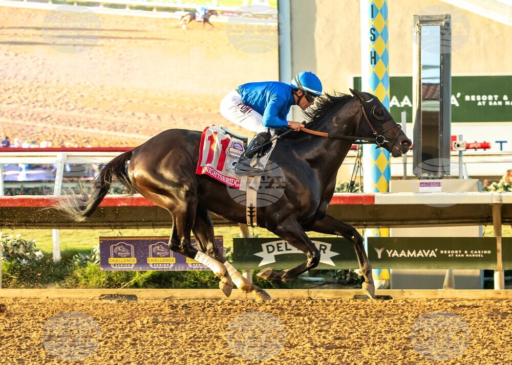 Del Mar Horse Racing