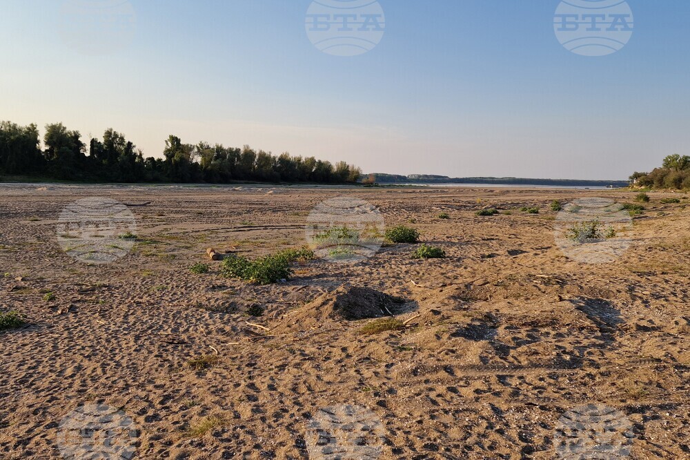 Danube Rises Barely in Bulgarian Section, No Stranded Vessels Are Reported