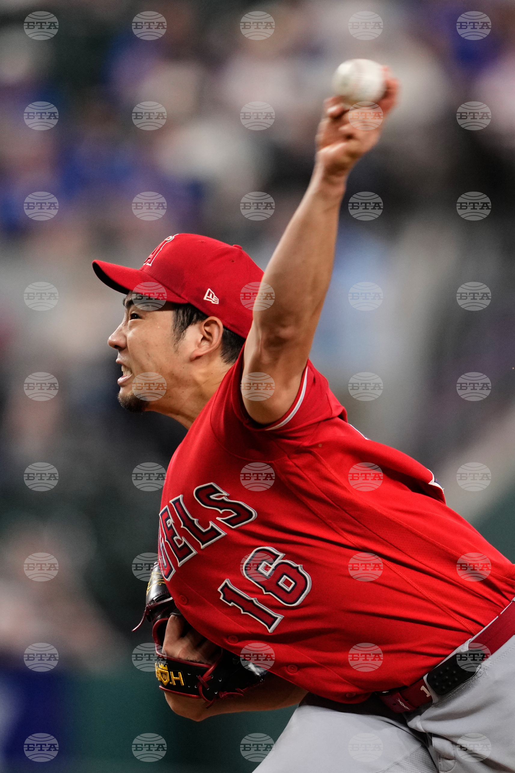 Angels Rangers Baseball
