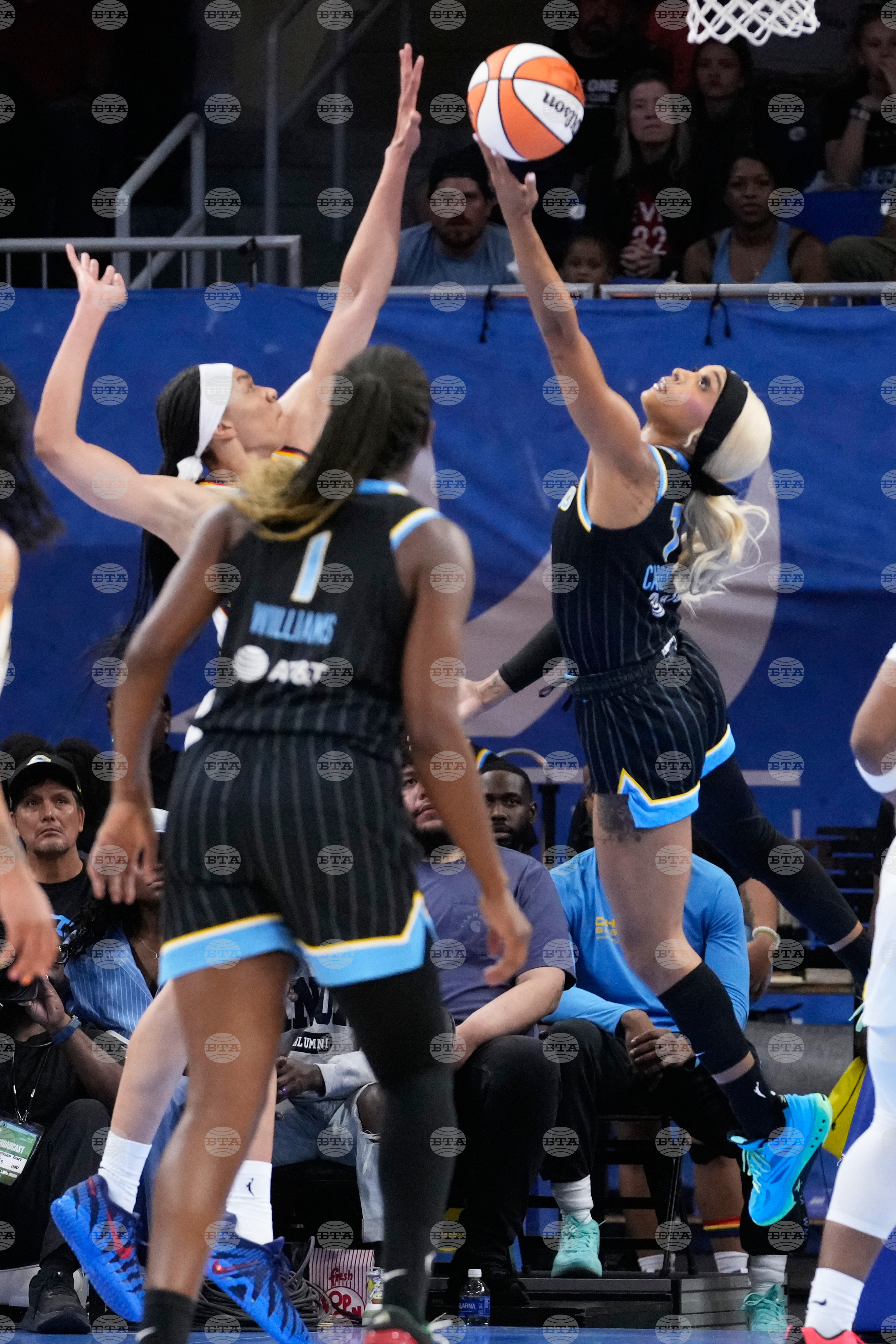 Fever Sky Basketball