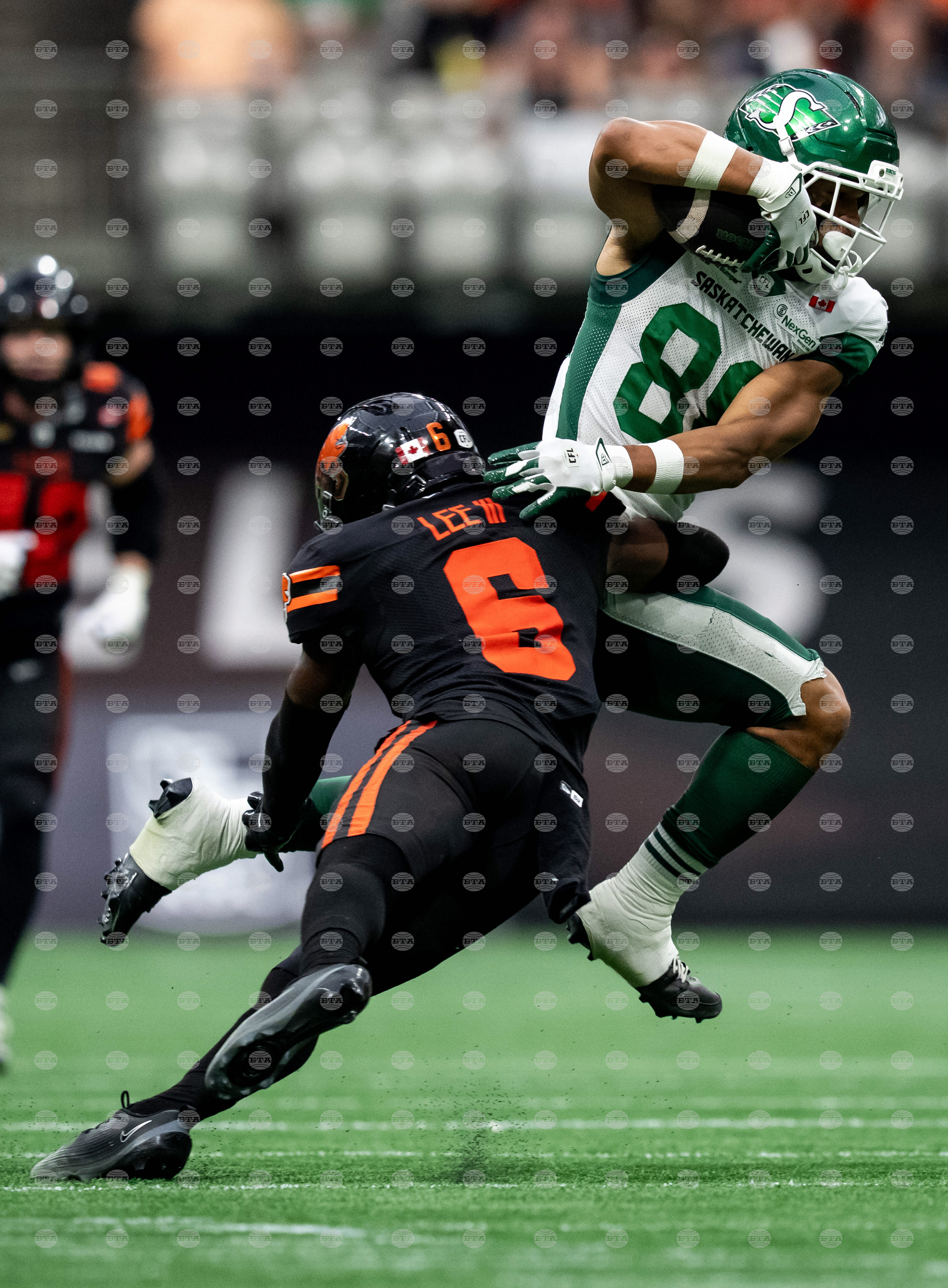 CFL Roughriders Lions Football