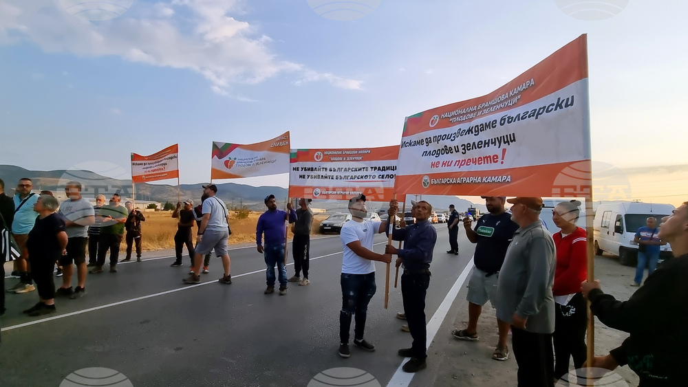 Сливен - производители на праскови - протест