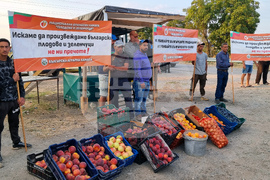 Сливен - производители на праскови - протест