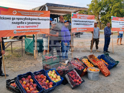 Сливен - производители на праскови - протест