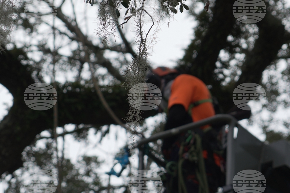 South Carolina-Revolutionary War Tree