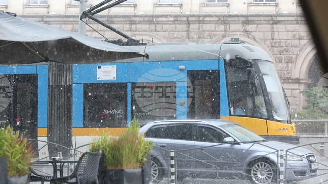 След бурята в София са постъпили 34 сигнала за паднали дървета,14 – за завирявания, и три сигнала за паднали светофарни уредби 