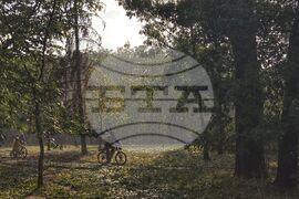 Парк „Княз-Борисова градина“ - след бурята в столицата