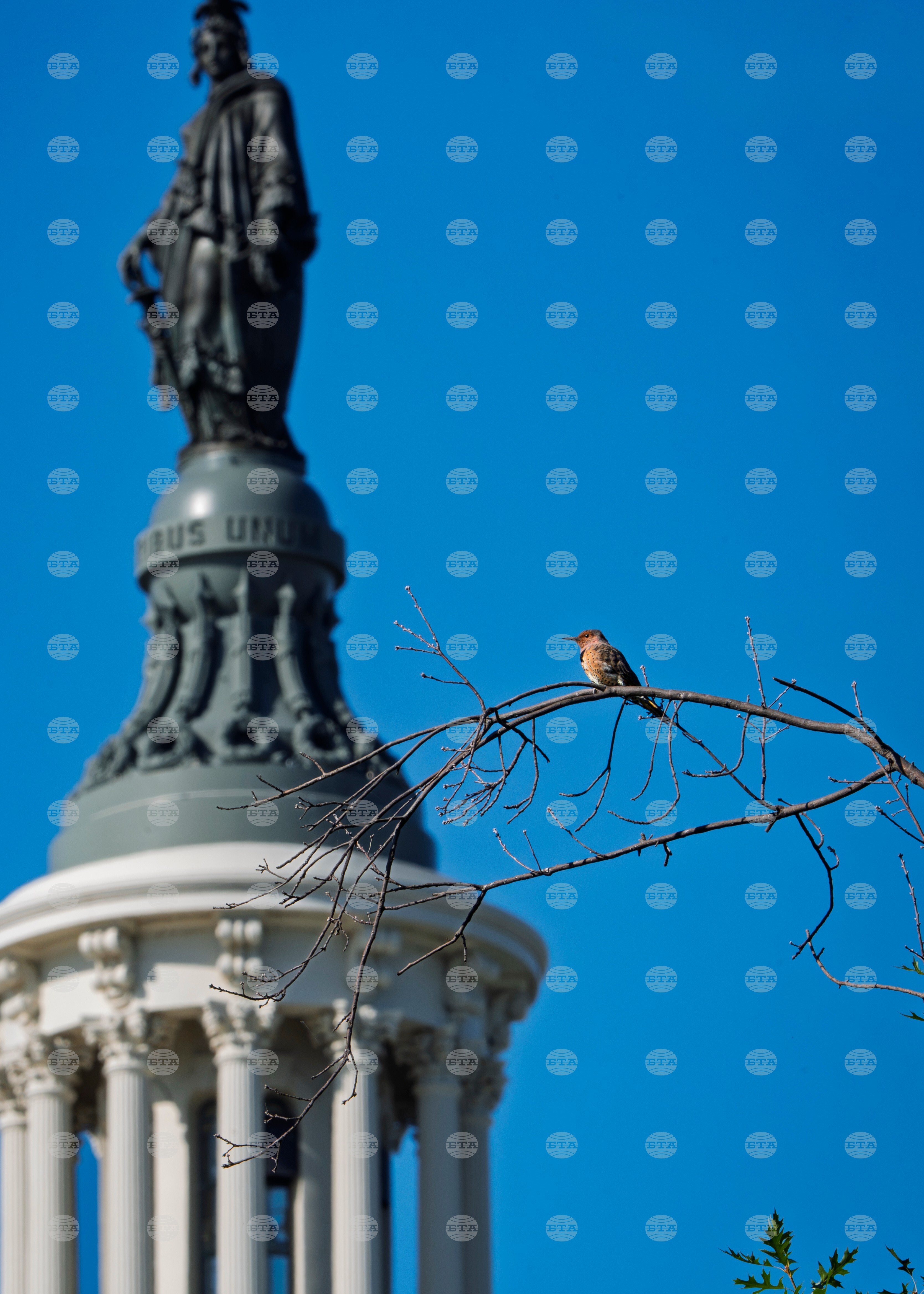 Washington Daily Life