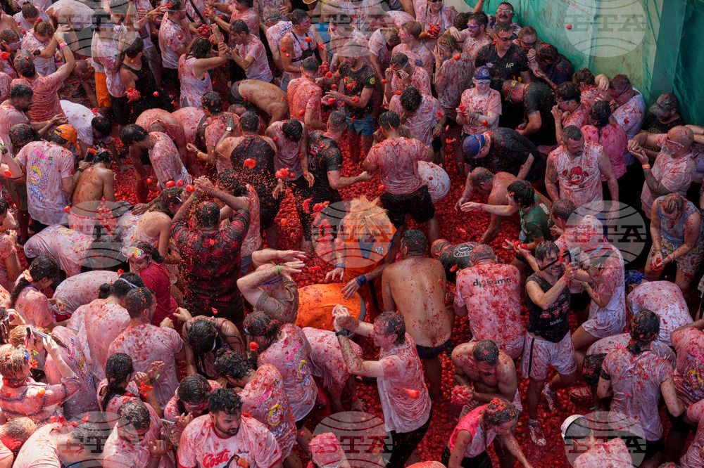 Spain Tomatina
