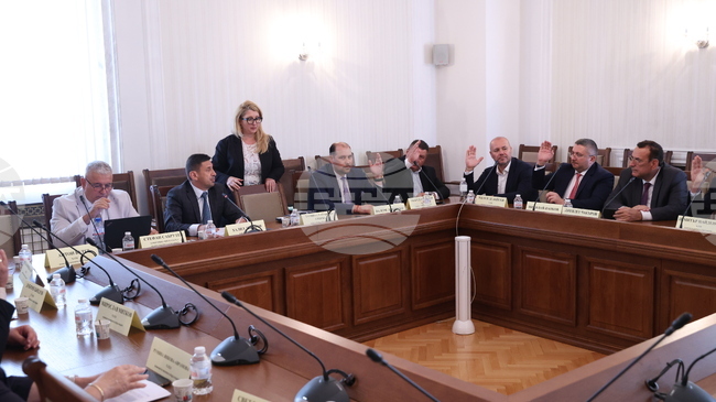 Parliamentary Environment Committee Backs Ratification of UN Agreement on Marine Biodiversity