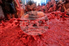 Spain Tomatina