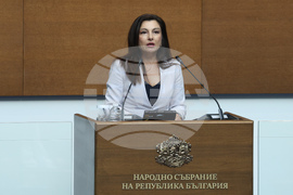 Народно събрание - заседание