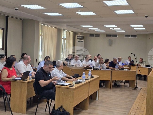 Общинският съвет в Плевен реши да бъдат дадени за управление от Общината два музея в град Пордим