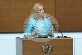 Народно събрание - заседание