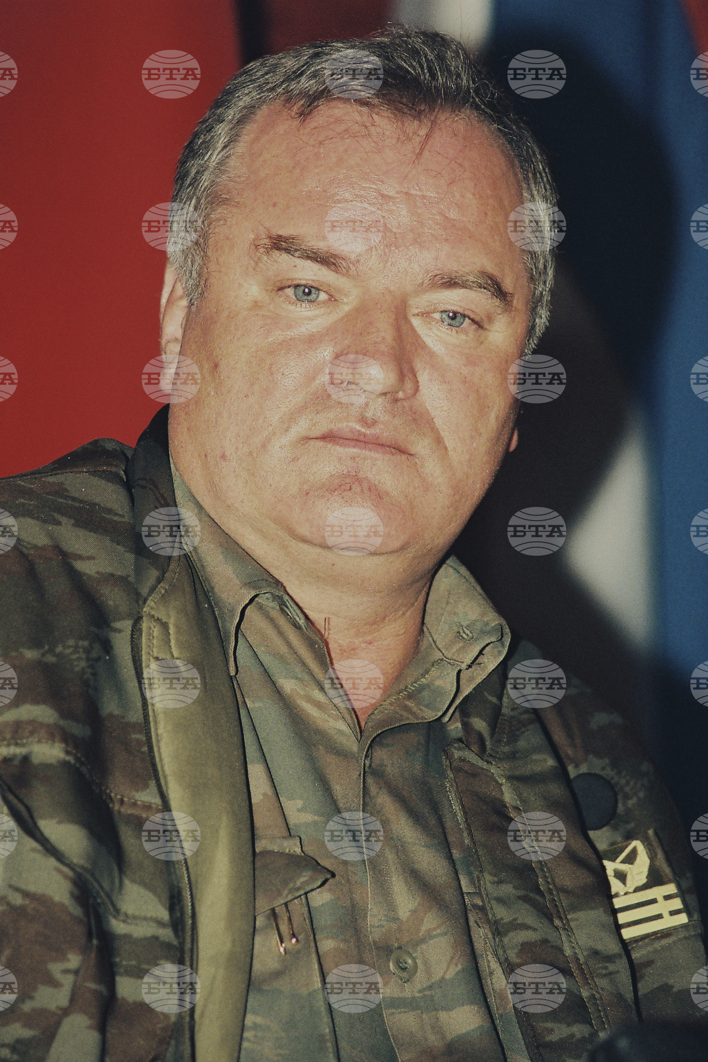 Obit Mladic