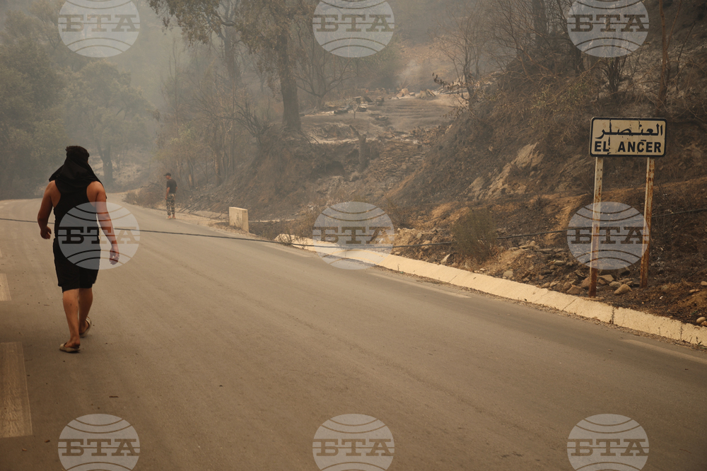 Algeria Wildfires