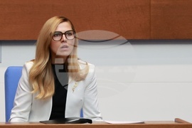 Народно събрание - парламентарен контрол