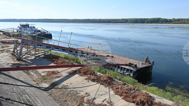 Danube Water Level Rises Along Most of Bulgaria’s River Section