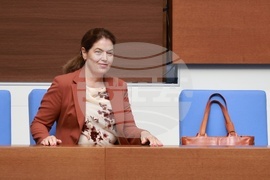 Народно събрание - парламентарен контрол