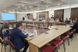 Русе - консултации - РИК