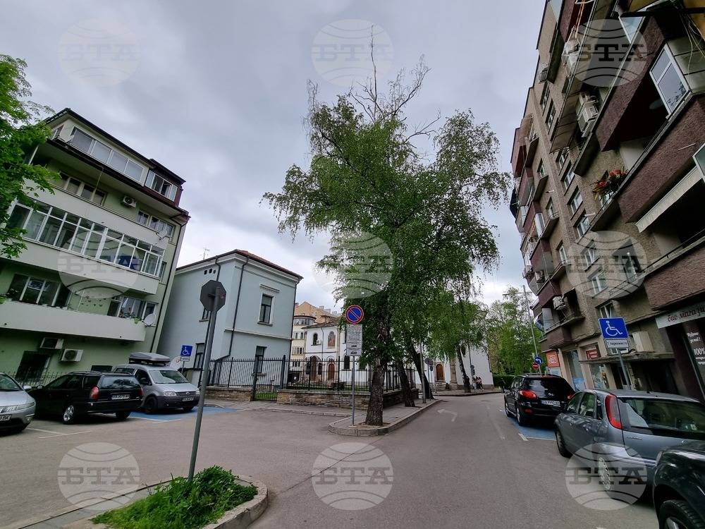 Премахват опасни брези в района на храма „Успение на Пресвета Богородица“ в центъра на Габрово