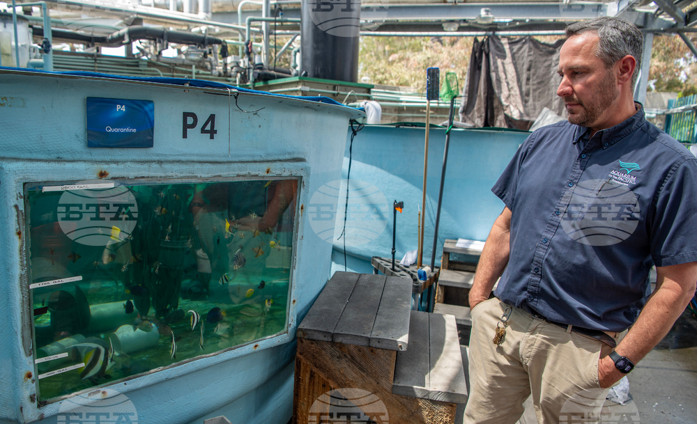 Saving Sea Creatures.