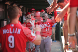 Reds Cubs Baseball