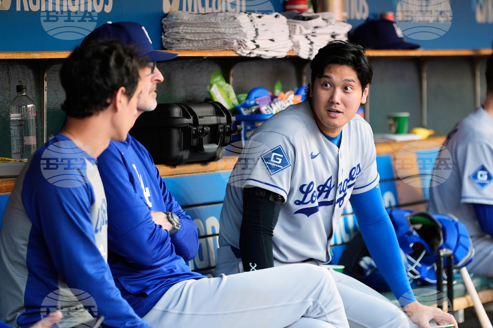 Dodgers Tigers Baseball
