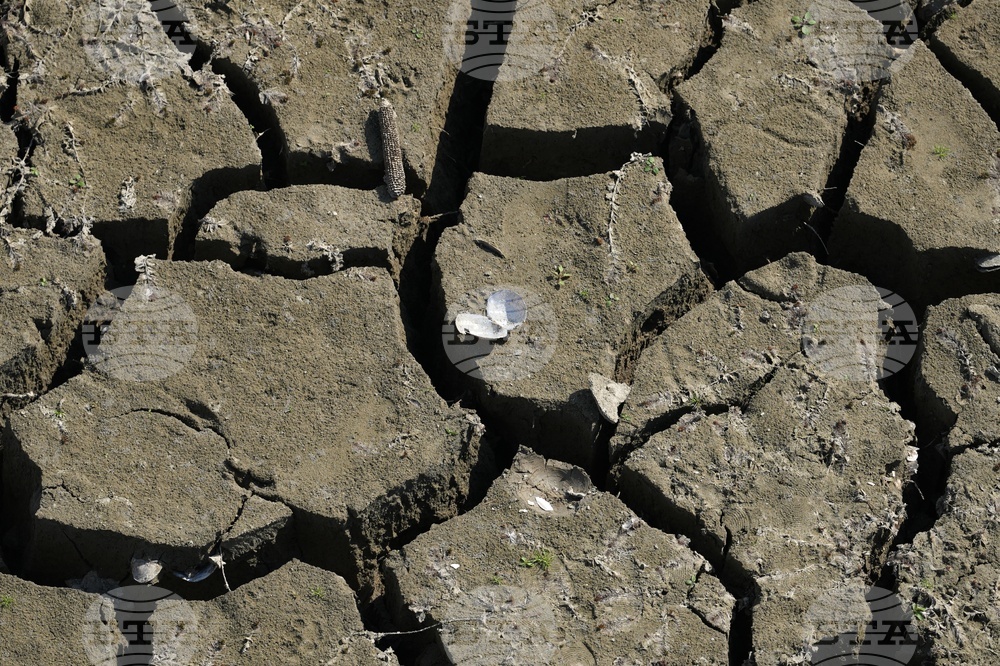 Europe Drought Fish