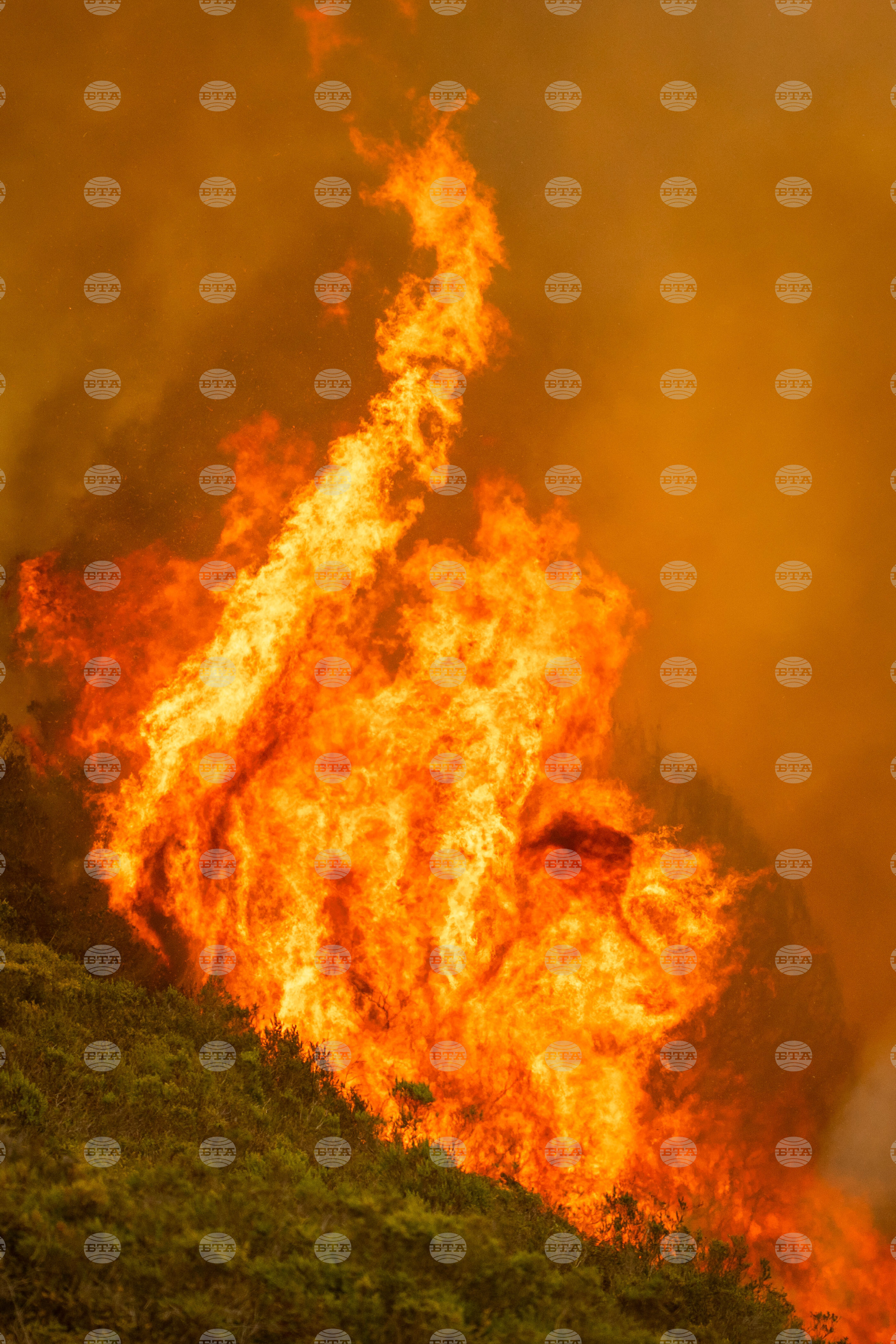 California Wildfires