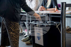 Iceland EU Election