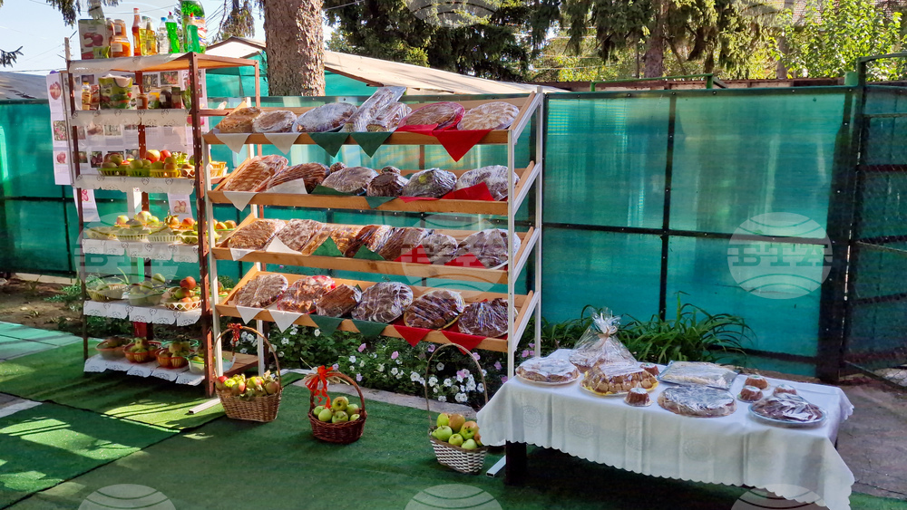 Село Екзарх Йосиф - празник на ябълката