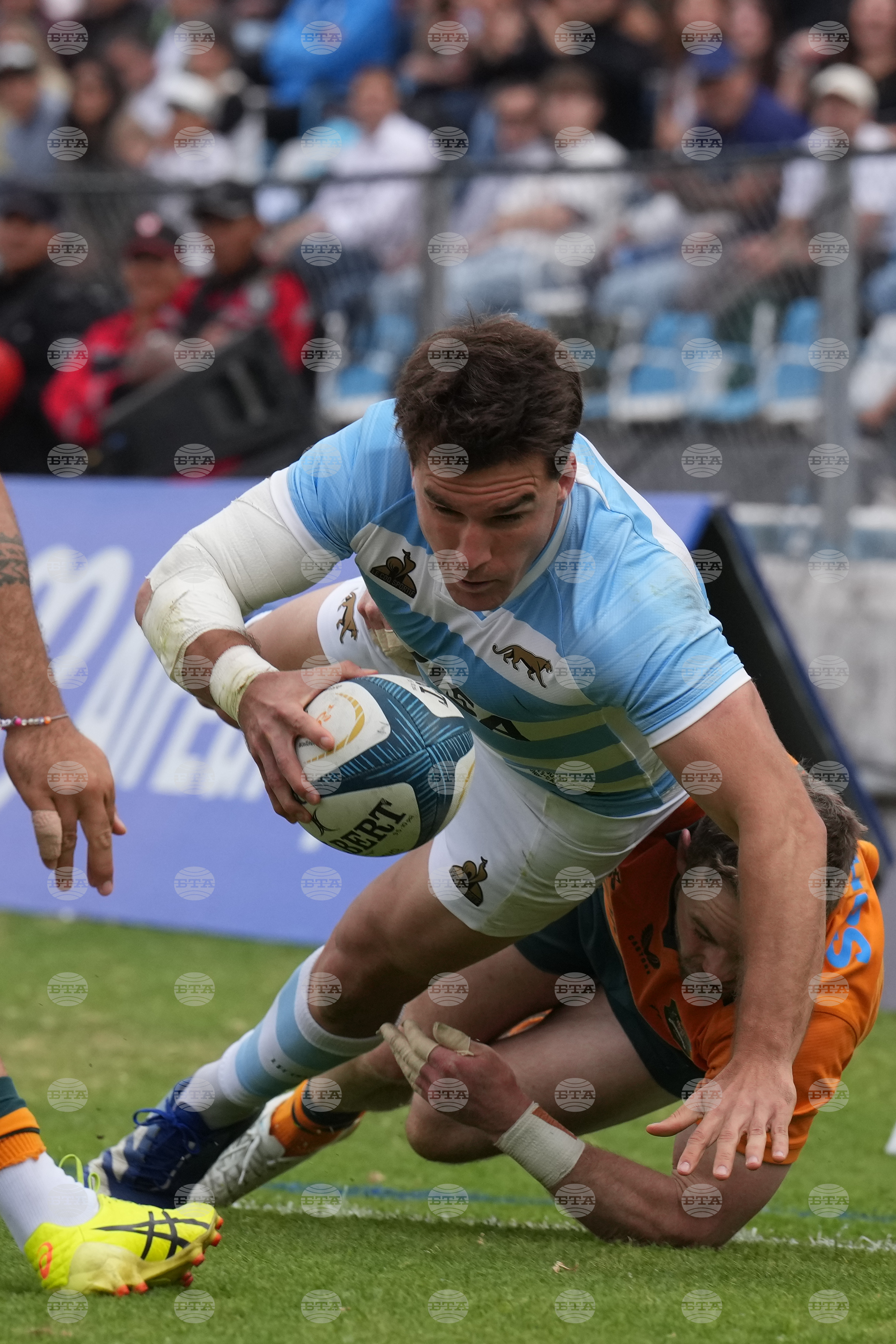 Argentina Australia Rugby